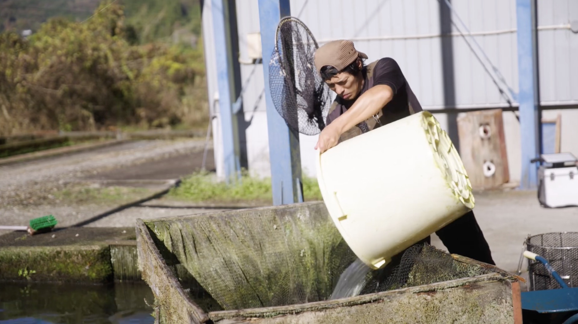 業務用・飲食店向け