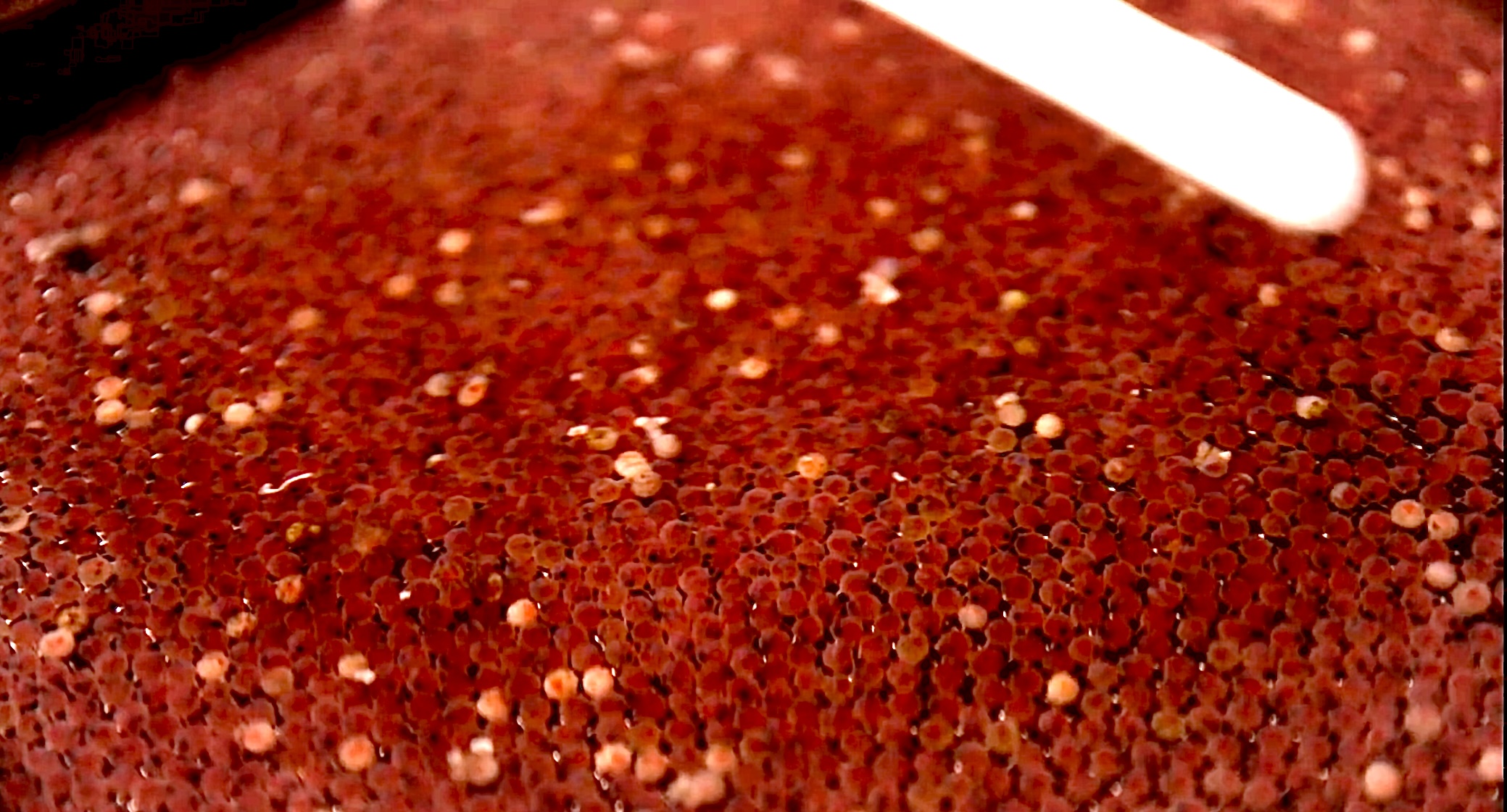 発眼卵のアップ